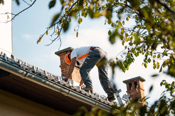Best Chimney Flashing Repair  in Logan, WV